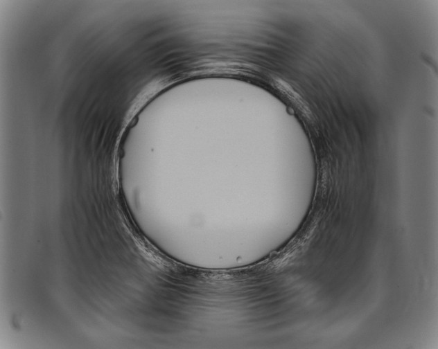 X0000097761370200804041116