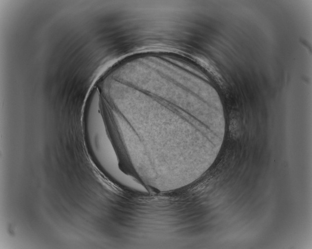 X0000097761372200804041116