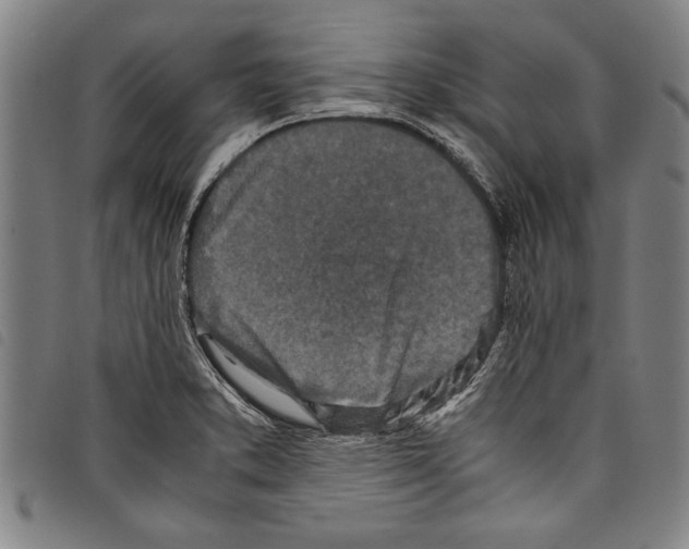 X0000097761373200804041116