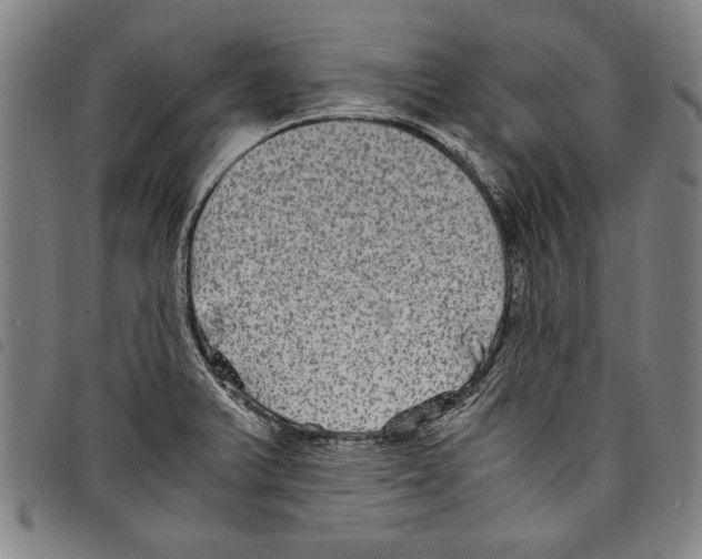 X0000097761375200804041116