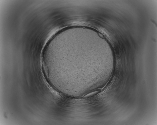 X0000097761376200804041116