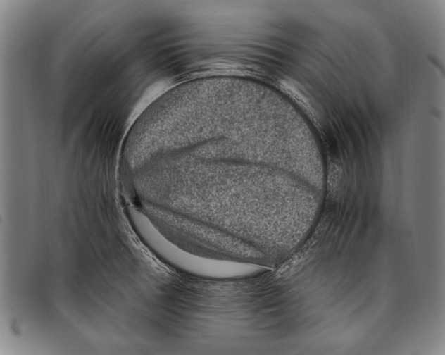 X0000097761378200804041116