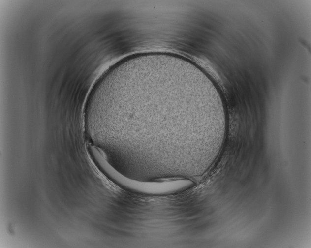 X0000097761380200804041116