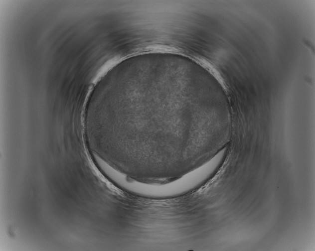 X0000097761381200804041116