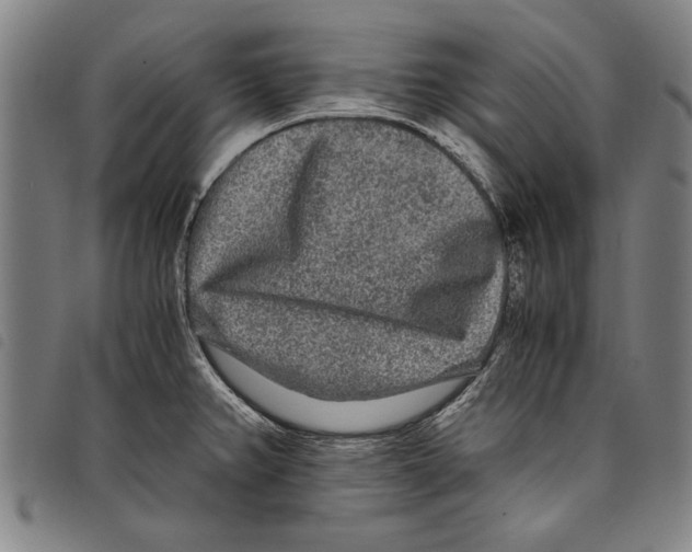 X0000097761382200804041116