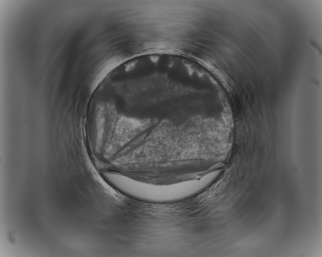 X0000097761383200804041116