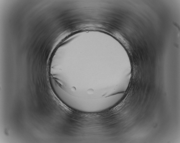 X0000097761384200804041116