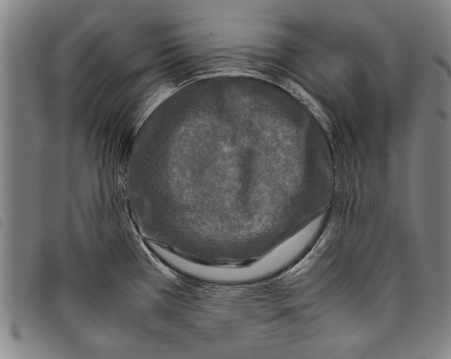 X0000097761385200804041116