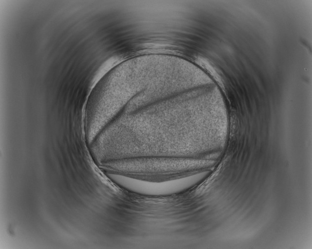 X0000097761386200804041116