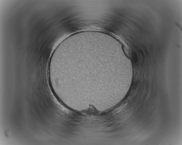 X0000097761387200804041116