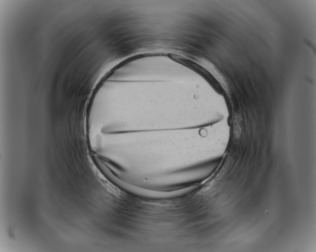 X0000097761388200804041116