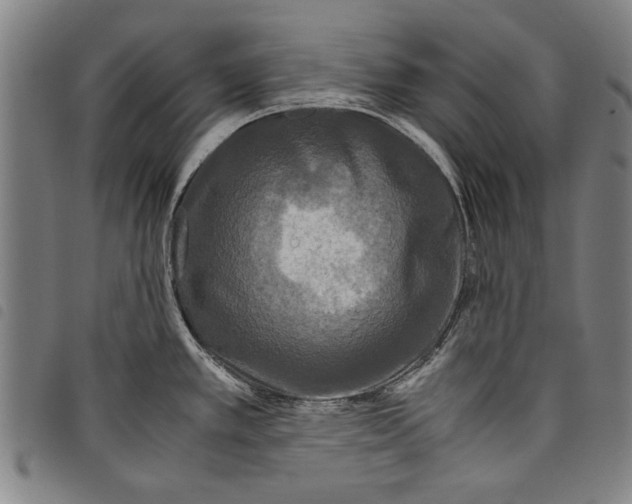 X0000097761389200804041116