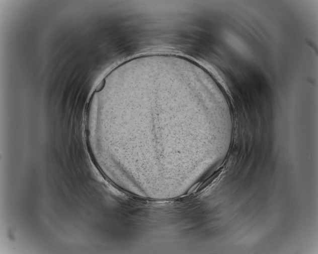 X0000097761390200804041116