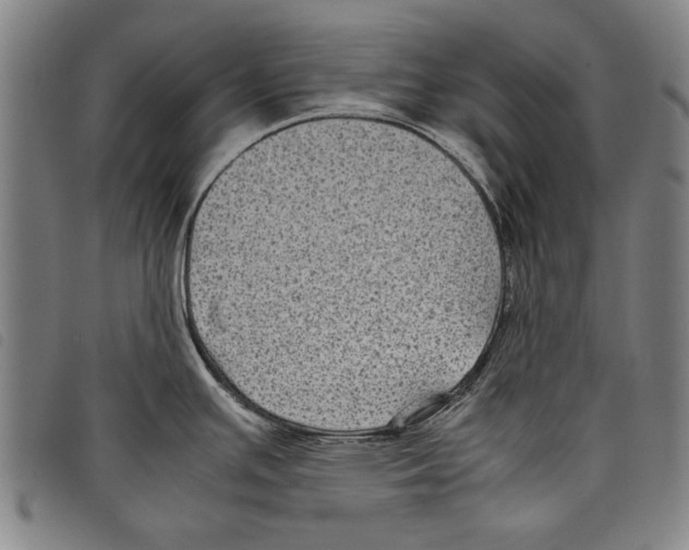 X0000097761391200804041116