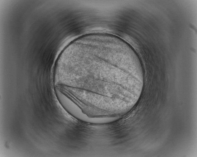 X0000097761392200804041116