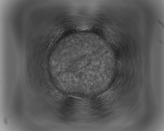 X0000097761393200804041115