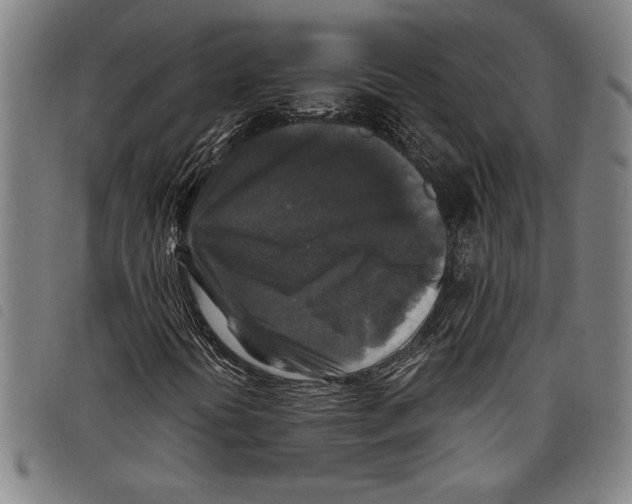 X0000097761394200804041115