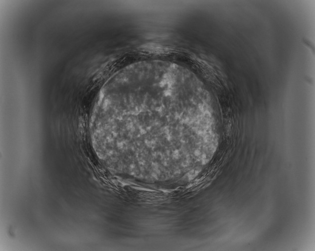 X0000097761397200804041115