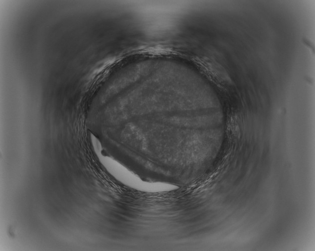 X0000097761398200804041115