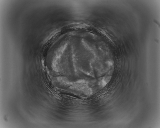 X0000097761399200804041115