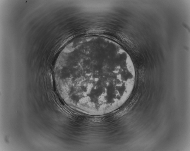 X0000097761401200804041115