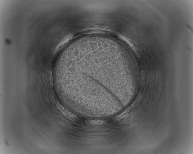 X0000097761403200804041115