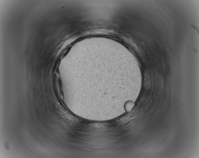 X0000097761404200804041115