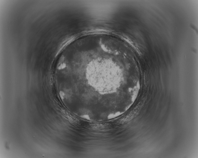 X0000097761405200804041115