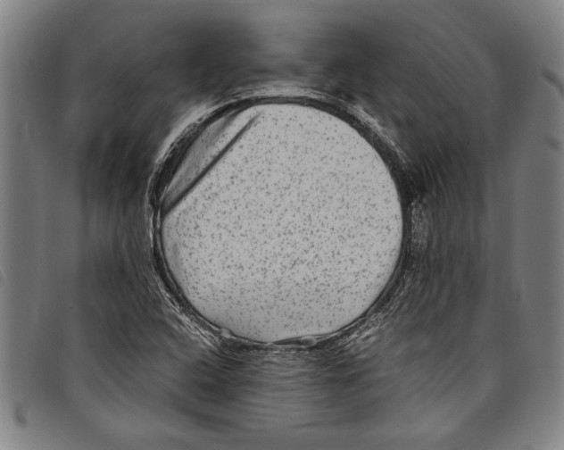 X0000097761408200804041115