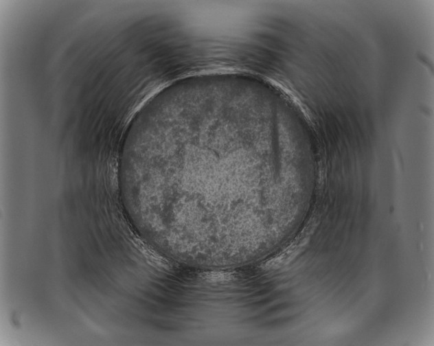 X0000097761409200804041115