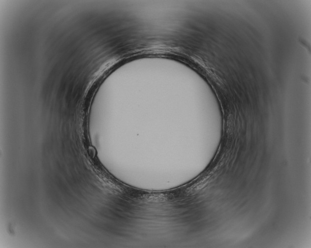 X0000097761410200804041115