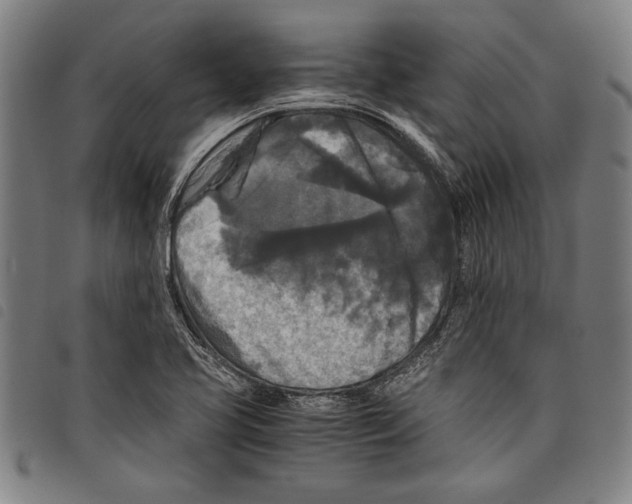 X0000097761413200804041115