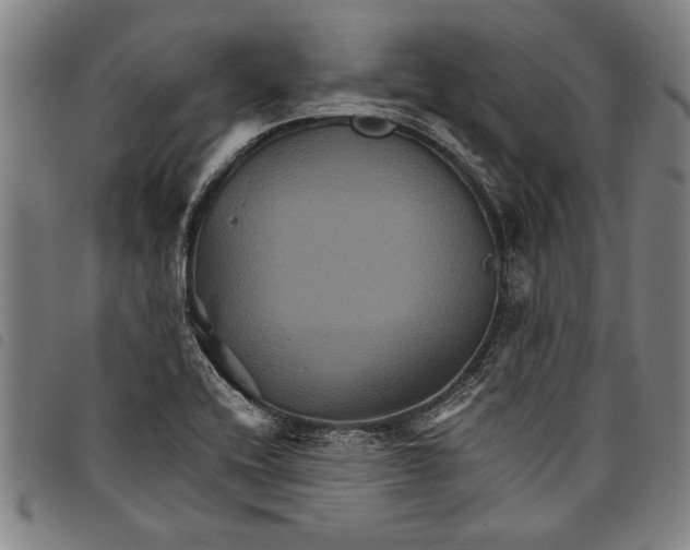 X0000097761416200804041115