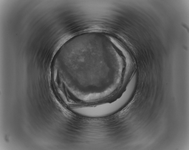 X0000097761418200804041115