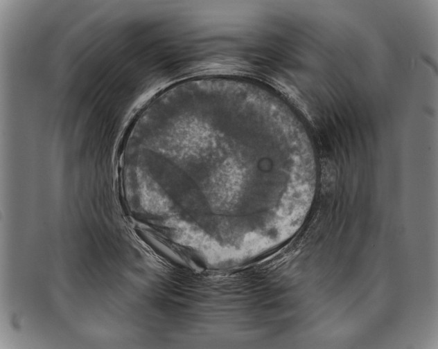 X0000097761419200804041115