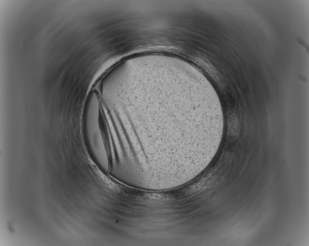 X0000097761420200804041115