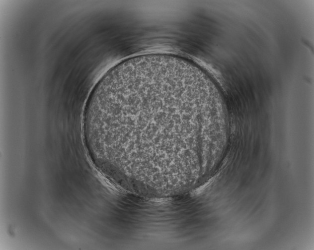 X0000097761423200804041115