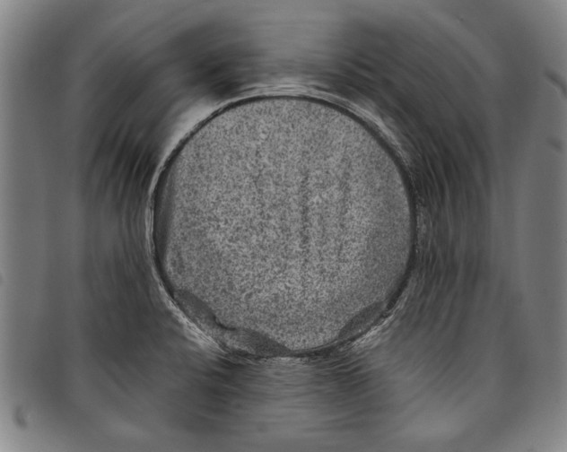 X0000097761424200804041115