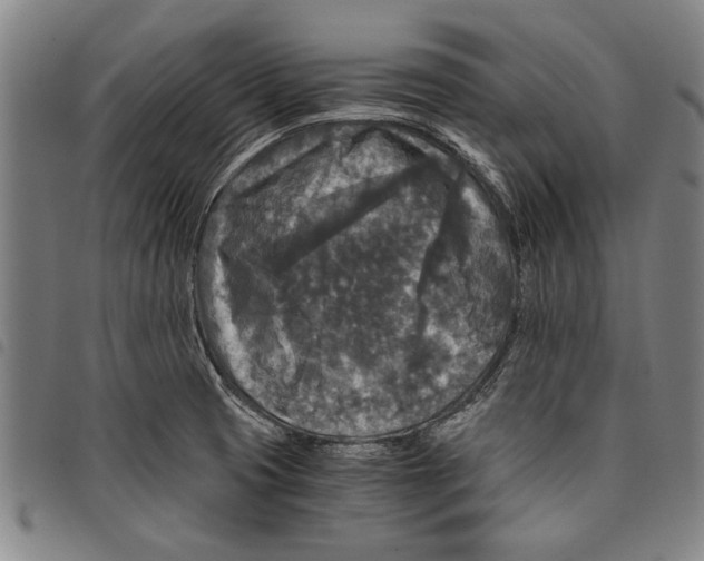 X0000097761425200804041115