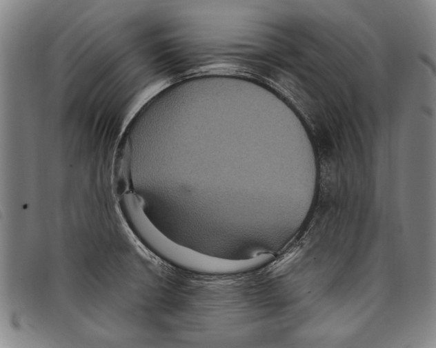 X0000097761426200804041115