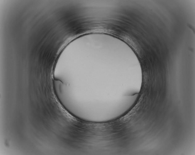 X0000097761428200804041115