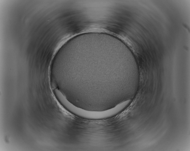 X0000097761430200804041116