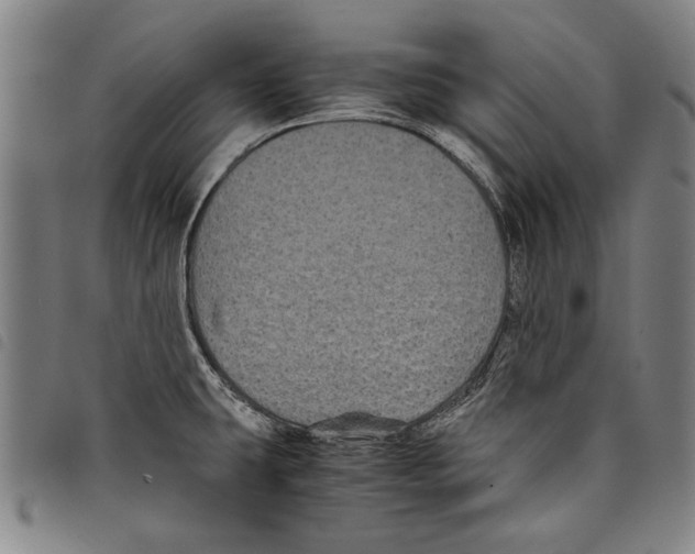 X0000097761431200804041116