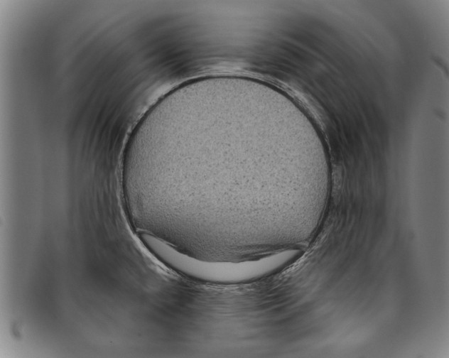 X0000097761432200804041116