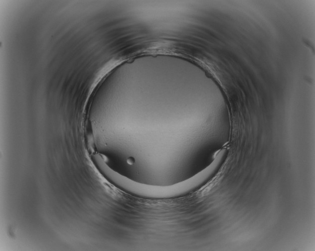 X0000097761434200804041116