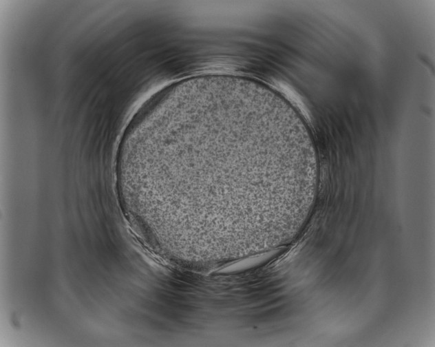 X0000097761435200804041116