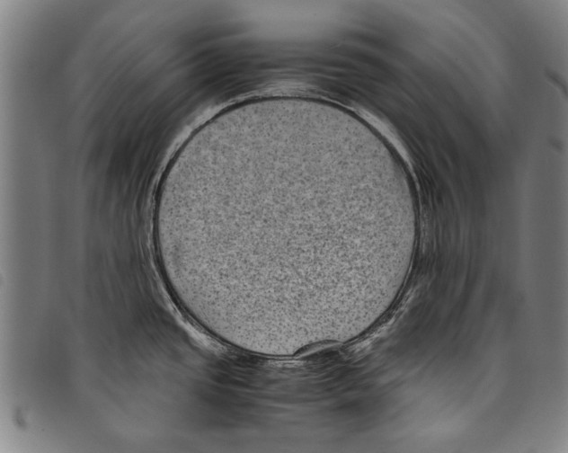 X0000097761437200804041116