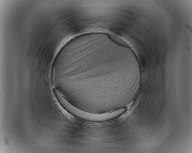 X0000097761438200804041116