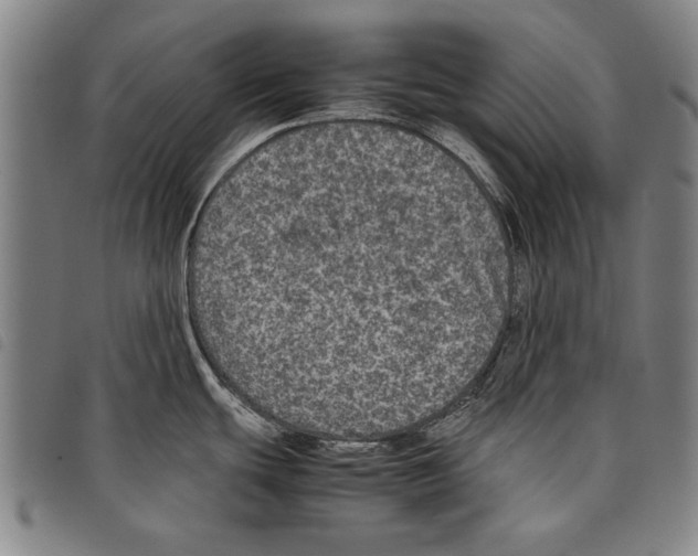 X0000097761439200804041116