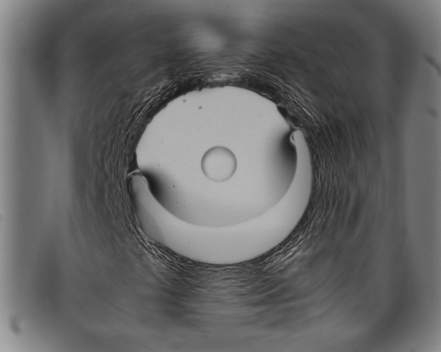 X0000097761441200804041115